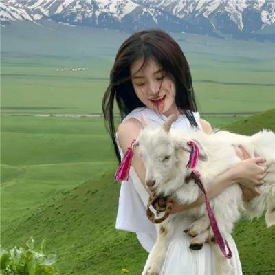 汉太尉杨震